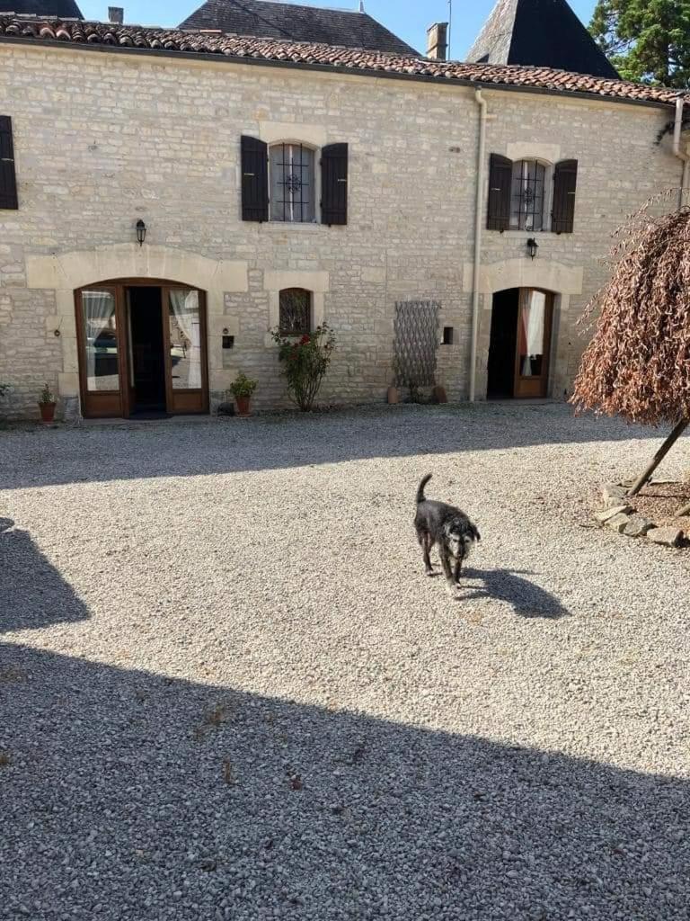 Les Cygnes Noirs Bed & Breakfast Aujac  Bagian luar foto