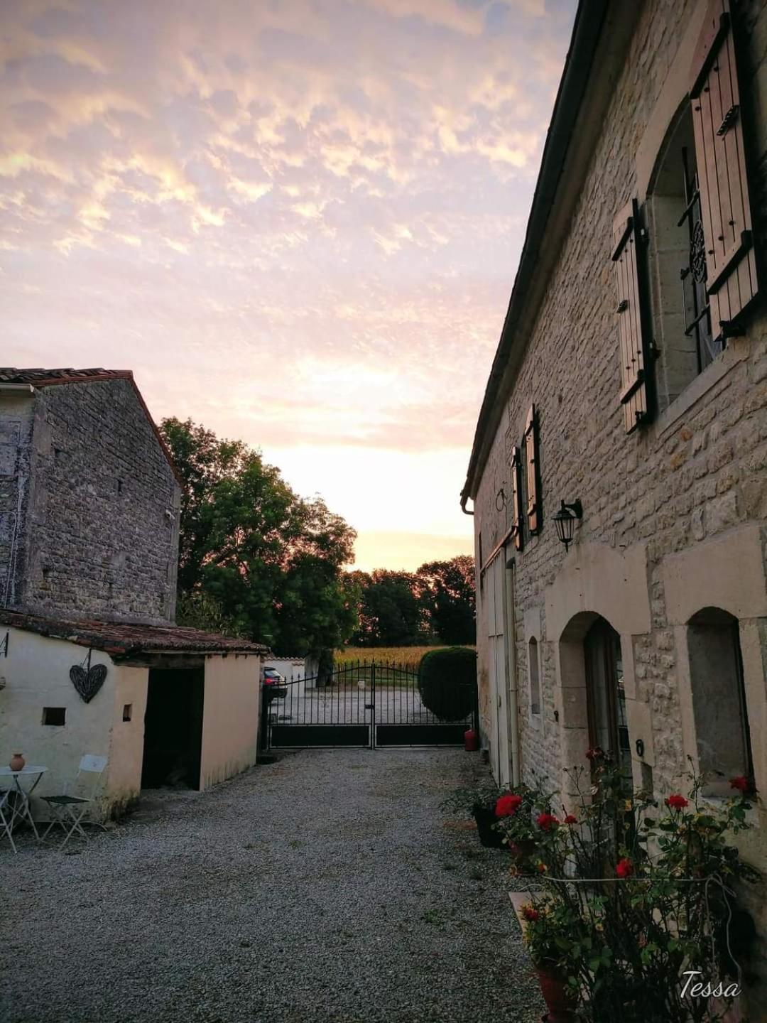 Les Cygnes Noirs Bed & Breakfast Aujac  Bagian luar foto