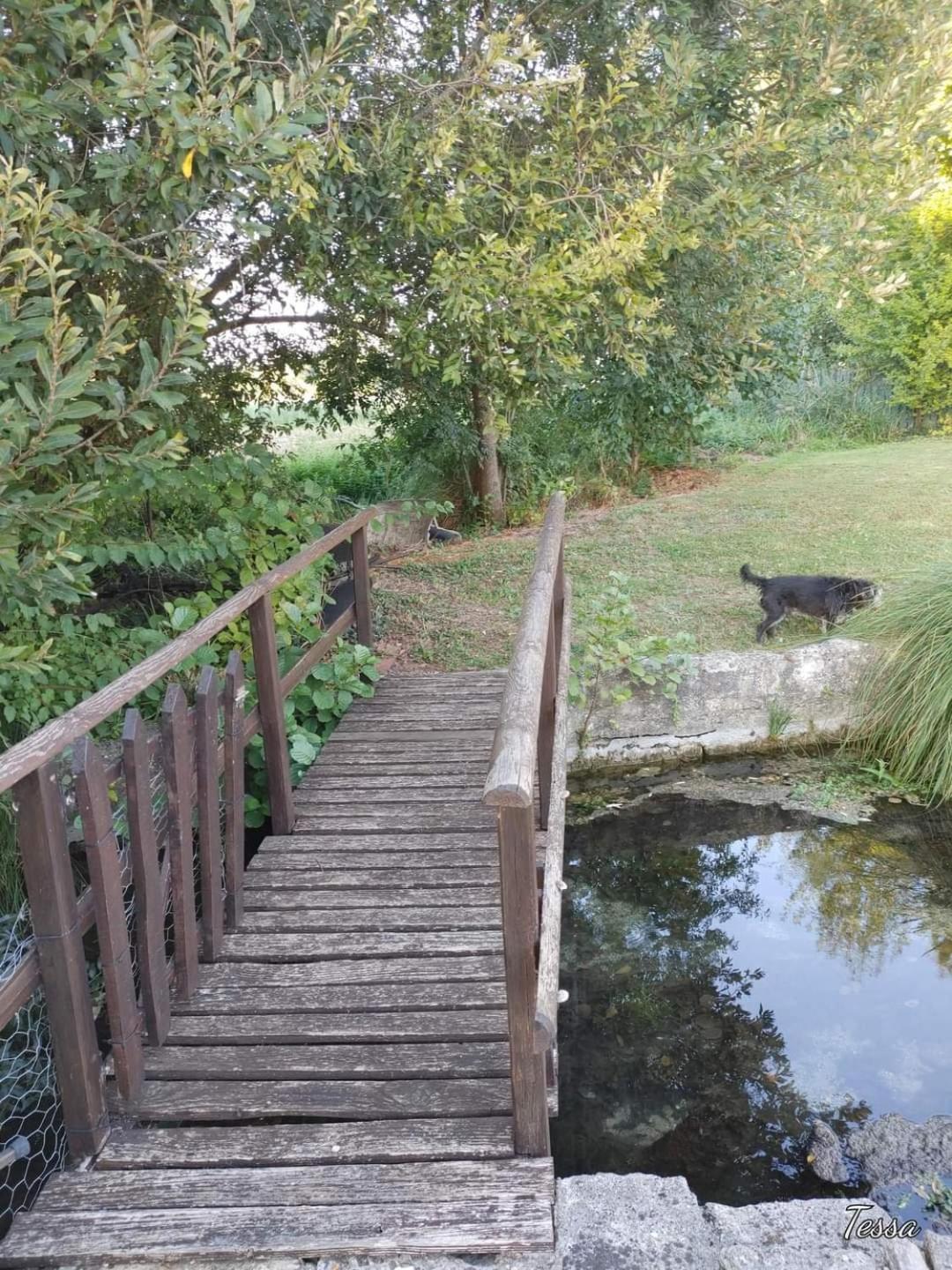 Les Cygnes Noirs Bed & Breakfast Aujac  Bagian luar foto